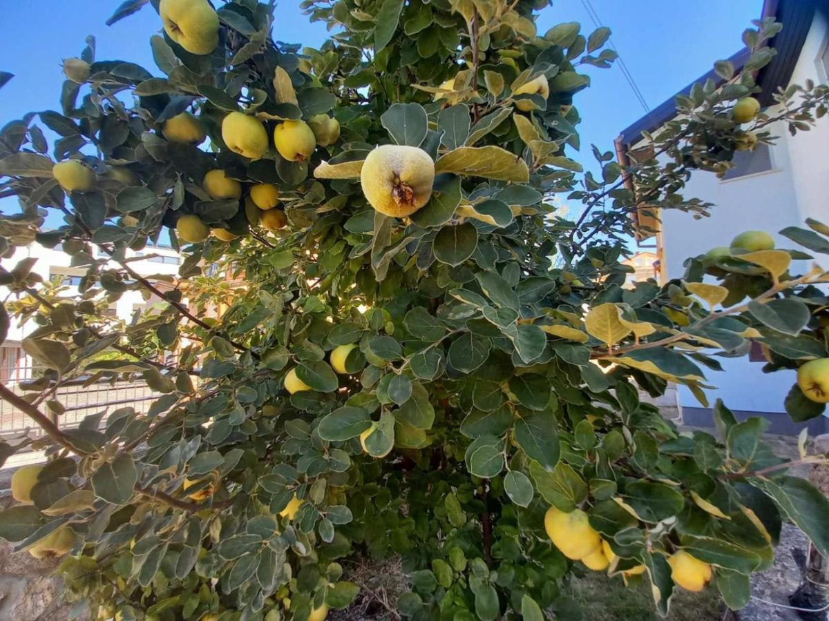 Apartment Ariela روفينج المظهر الخارجي الصورة